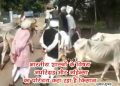 kishan 3