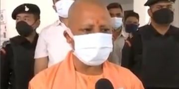 yogi 1