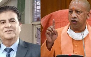 yogi