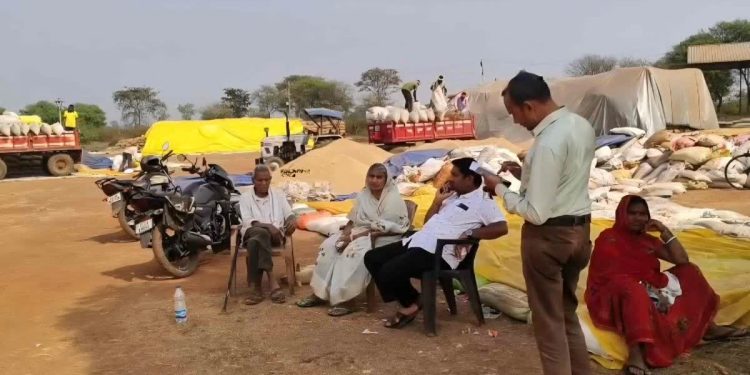 धान खरीदी केंद्र में पूर्व विधायक का डेरा: सिस्टम पर उठाए सवाल, वर्तमान विधायक ने कसा तंज- &Quot;अब पता चली किसानों की मुश्किल?&Quot; 1 13 36