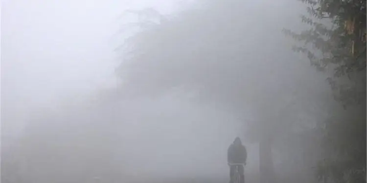 Amritsar Weather Update: गुरु नगरी में कड़ाके की ठंड और घने कोहरे का डबल अटैक, आने वाले 72 घंटे बेहद भारी; जानें ताजा पूर्वानुमान 1 Amritsar Weather Update: गुरु नगरी में कड़ाके की ठंड और घने कोहरे का डबल अटैक, आने वाले 72 घंटे बेहद भारी; जानें ताजा पूर्वानुमान