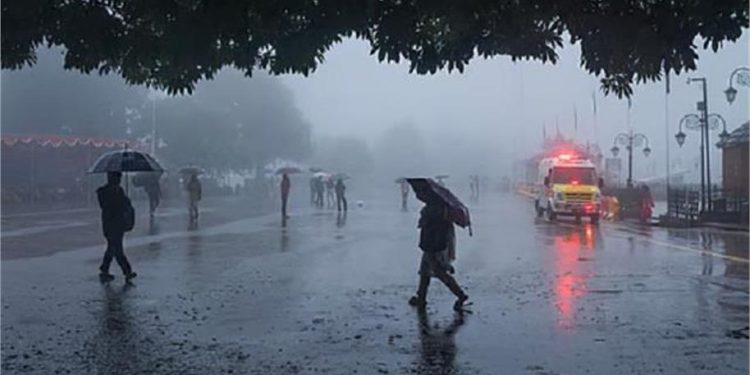 Haryana Weather Update: हरियाणा के 10 से ज्यादा जिलों में बारिश की चेतावनी, 20 जनवरी तक बदलेगा मौसम का मिजाज; Imd का बड़ा अपडेट 1 21 13