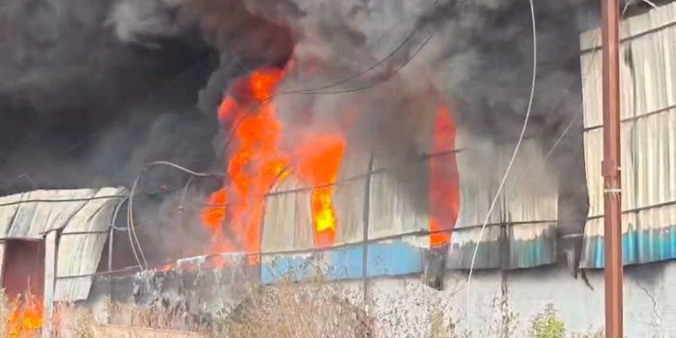Chhindwara Fire: छिंदवाड़ा की पाइप फैक्ट्री में भीषण आग, 1 किमी दूर से दिखे धुएं के गुबार; 11 दमकलें बुझाने में जुटीं 1 5 22