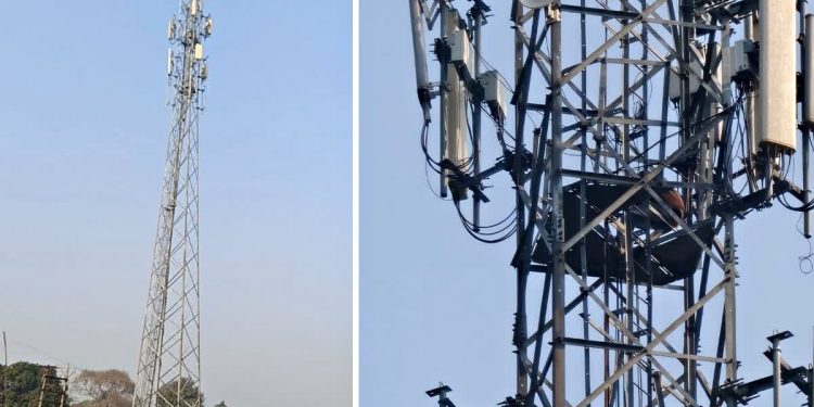 Singrauli: प्रेमिका की शादी कहीं और तय हुई तो 100 फीट ऊंचे टावर पर चढ़ा प्रेमी, 4 घंटे तक चला 'शोले' स्टाइल हाई-वोल्टेज ड्रामा 1 6 35 1