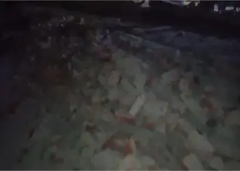 लुधियाना में देर रात बड़ा हादसा! चंडीगढ़ रोड पर अचानक गिरी सोसाइटी की दीवार, मलबे की चपेट में आने से मची चीख-पुकार