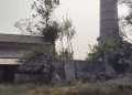 chakia sugar mill