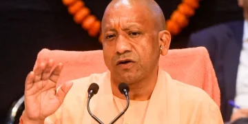 cm yogi 3 1