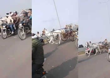 delhi dehradun expressway