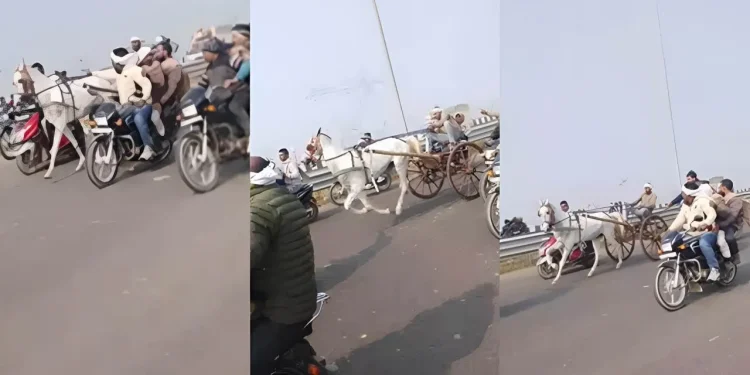 delhi dehradun expressway