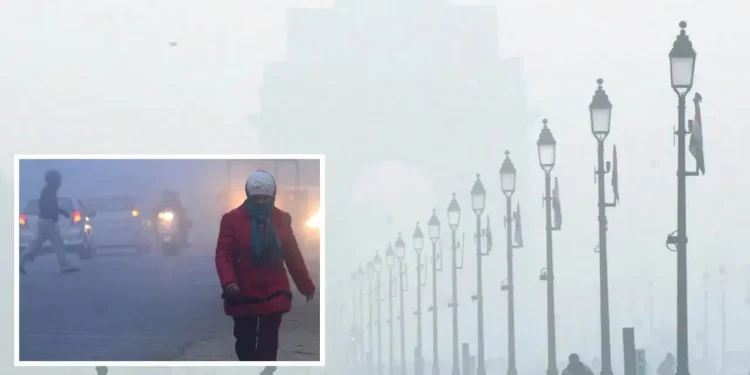 delhi weather 12 jan