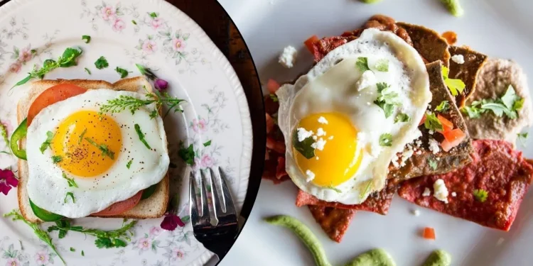 Healthy Breakfast Ideas: उबले अंडे को कहें बाय-बाय! ब्रेकफास्ट के लिए 5 बेहतरीन एग रेसिपीज, जो प्रोटीन से हैं भरपूर 1 egg dishes for breakfast