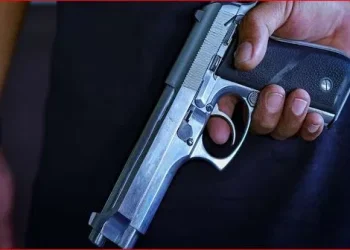 pistol