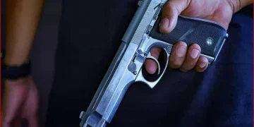 pistol