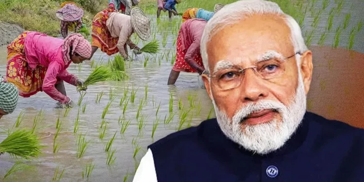 pm kisan