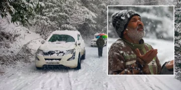 snowfall 2