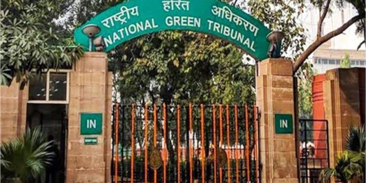 Ngt Strict Orders: एनजीटी की बड़ी कार्रवाई: 217 क्रशरों की जांच रिपोर्ट तलब, प्रदूषण मानकों के उल्लंघन का मामला 1 10 19