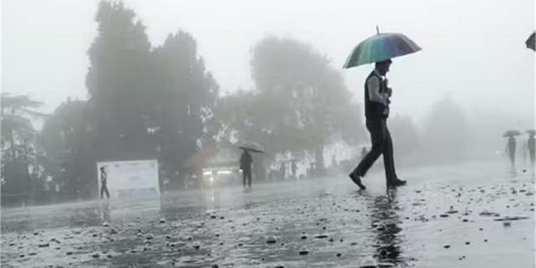 Haryana Weather: हरियाणा में जनवरी में बारिश ने तोड़ा रिकॉर्ड, सामान्य से 35% अधिक बरसात; जानें जिलों का हाल 1 7 2