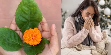 bael patra benefits