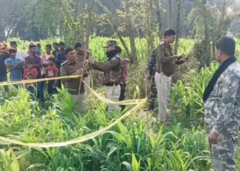 bihar