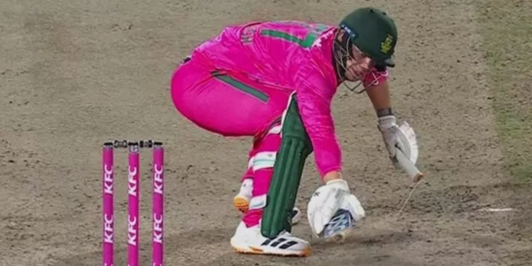 corbin bosch bat break