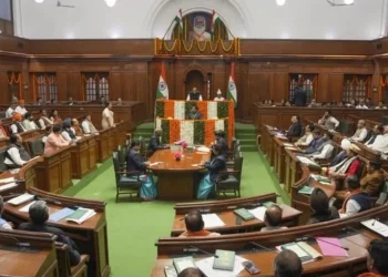 delhi assembly