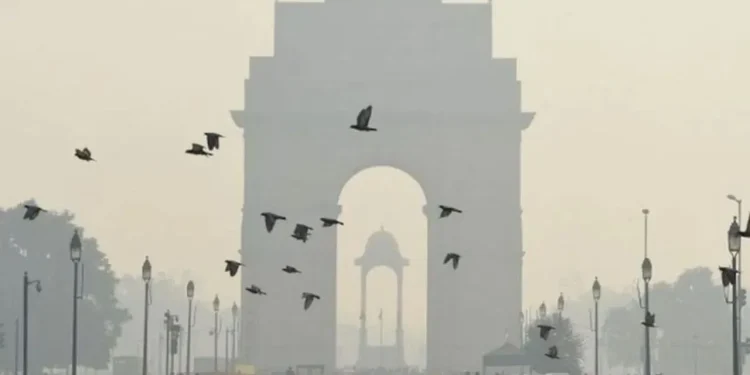 delhi ncr weather