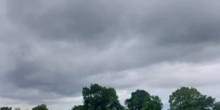Weather Forecast: क्या दिल्ली-Up में आज होगी बारिश? आंधी और गिरते तापमान पर मौसम विभाग का बड़ा अपडेट 1 delhi news 1280 720 79