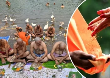 falgun amavasya 2026 daan