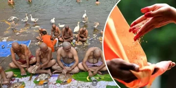 falgun amavasya 2026 daan