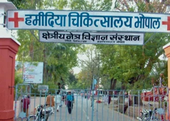 hamidia hospital