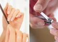 how to grow nails fast and prevent breakage 5 nail care tips