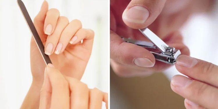 how to grow nails fast and prevent breakage 5 nail care tips