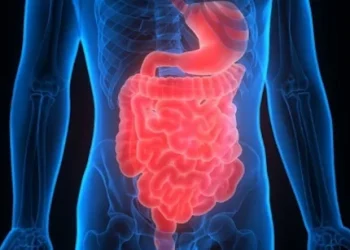 j4sbbv2o stomach 625x300 11 February 25