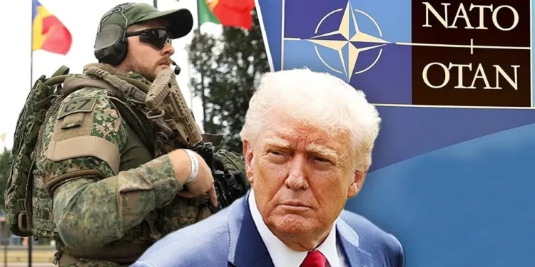nato trump