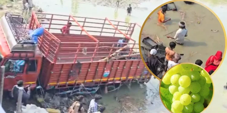 Darbhanga News: दरभंगा में नदी में गिरा अंगूर से भरा ट्रक, फल लूटने के लिए जान जोखिम में डाल पानी में कूदे लोग 1 news 2026 02 19t140911.839