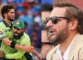 shahid afridi shaheen