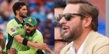 shahid afridi shaheen
