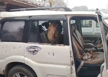shivhar scorpio riding gang goat thief