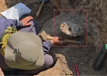 tekkalakota excavation