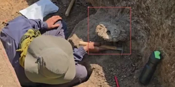 tekkalakota excavation
