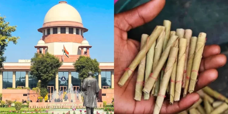 untitled design 2026 02 18t135231.798