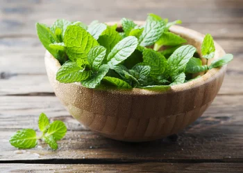 10 Health Benefits of Pudina Mint Leaves You Must Know 345x345@2x