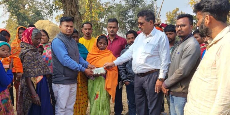 दहशत में लातेहार! अचानक सामने आया जंगली हाथी और ले ली ग्रामीण की जान, जान बचाने के लिए पेड़ों पर चढ़े लोग 1 11 2
