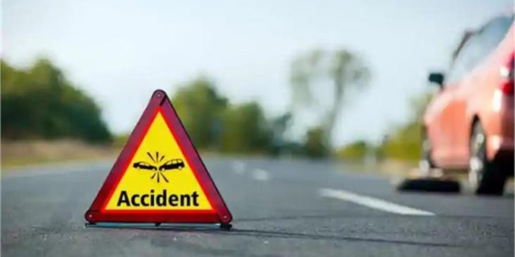 Jharkhand Road Accident: बिल्ली को बचाने के चक्कर में अनियंत्रित होकर पलटा ऑटो, 45 वर्षीय महिला की दर्दनाक मौत 1 20