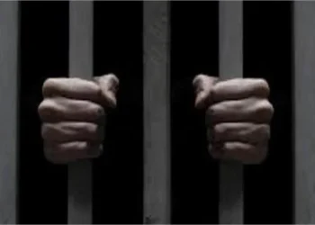 पंजाब की जेल में 'सुरक्षा' फेल! कैदियों के पास मिले 5 मोबाइल और नशीला सामान; जेल प्रशासन में मचा हड़कंप, बड़ी साजिश की आशंका 10 22 1 2