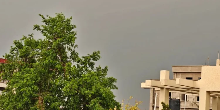 Jharkhand Weather Update: झारखंड के कई जिलों में बारिश और बिजली गिरने की चेतावनी, मौसम विभाग ने जारी किया येलो अलर्ट; जानें अपने शहर का हाल 1 30 1 2