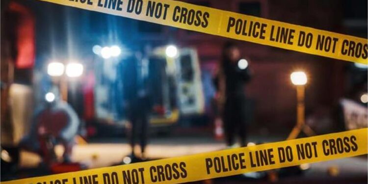 Ludhiana Crime News: संजय गांधी कॉलोनी में बदमाशों का हमला, तलवारें लहराकर गाड़ियों में की तोड़फोड़; सीसीटीवी में कैद हुई वारदात 1 31 5