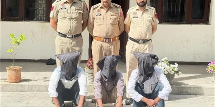 Bambiha Gang Arrest: बंबीहा गैंग का लीडर 2 साथियों सहित गिरफ्तार, 11 पिस्टल और कारतूस बरामद; पुलिस ने हथियार तस्करी नेटवर्क का किया पर्दाफाश 1 32 1 1
