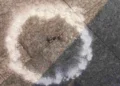 4 1