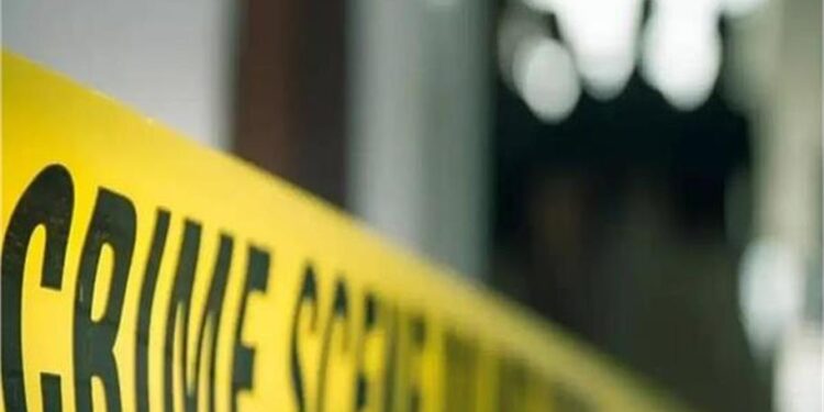 Army Jawan Crime Case Punjab: छुट्टी पर आए फौजी ने मां-बाप पर ढाया कहर: पिता को गोली मारी, मां को अधमरा होने तक पीटा; आरोपी गिरफ्तार 1 6 3